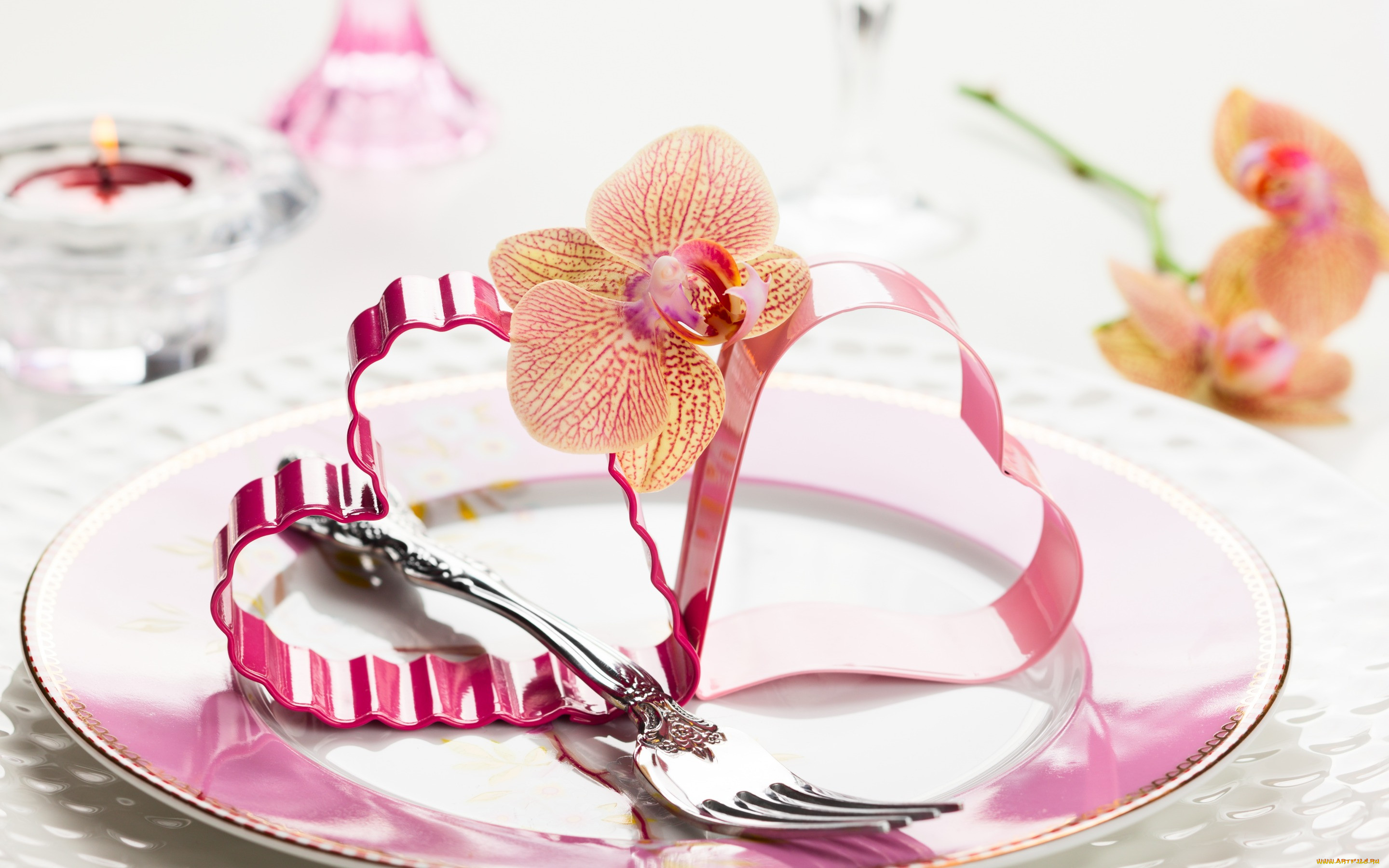 ,   ,  ,  , , , flowers, , orchid, heart, valentine's, day